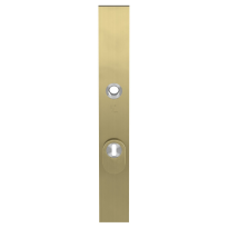 GPF9038.72P4 veiligheidsbuitenschild met kerntrekbeveiliging PC72 PVD mat messing