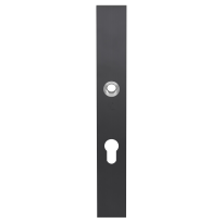 GPF9138.72P1 veiligheidsbinnenschild smal SKG 257x35x8mm rechthoekig PC72 PVD antraciet