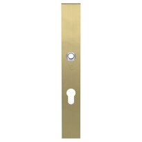 GPF9138.72P4 veiligheidsbinnenschild smal SKG 257x35x8mm rechthoekig PC72 PVD mat messing