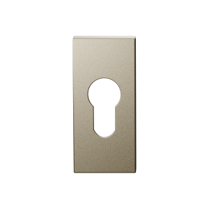 GPF1101.A4 cilinderrozet 70x32x10mm Champagne blend