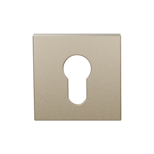 Cilinderrozet GPF199E 53x53x6,5 mm Champagne blend 