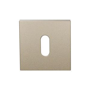 Sleutelrozet GPF199E 53x53x6,5 mm Champagne blend 