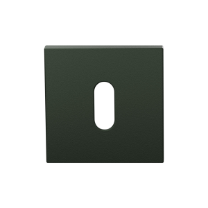 Sleutelrozet GPF199E 53x53x6,5 mm Moss 
