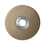 Rozet GPF1105.A4 R 50x6 mm Champagne blend rechtsdraaiend
