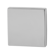 Blinde rozet GPF0900.42 50x50x8mm RVS gepolijst