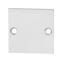 Blinde rozet GPF0900.48 50x50x2mm RVS gepolijst
