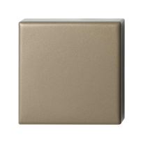 Blinde rozet GPF1102.A4.0900 50x50x8 mm Champagne blend