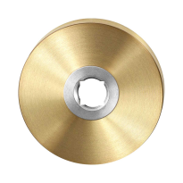 Rozet GPF1100.00P4 50x8mm PVD mat messing