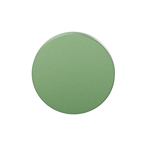 Blinde rozet GPF199E 53x6mm Leaf 
