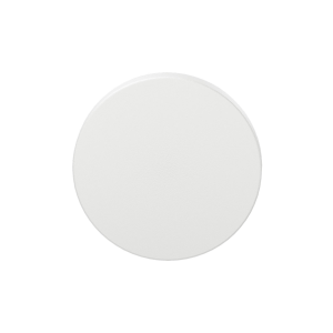 Blinde rozet GPF199E 53x6mm Wit