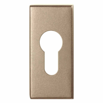 GPF1101.A4 cilinderrozet 70x32x10mm Champagne blend