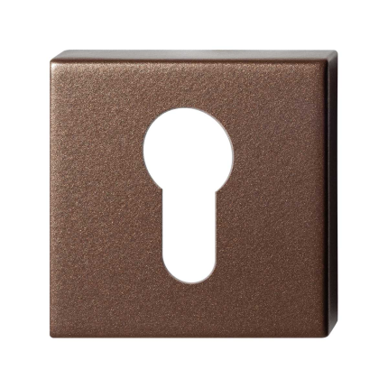Cilinderrozet GPF1102.A2.0902 50x50x8 mm Bronze blend