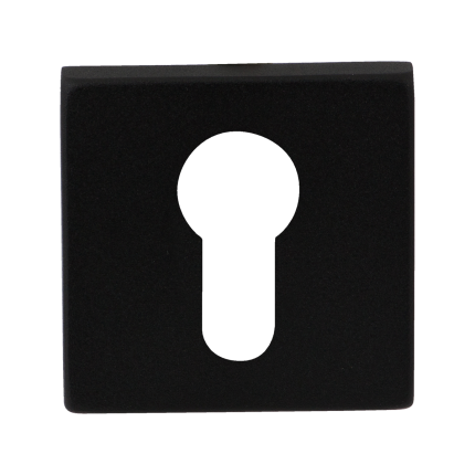 Cilinderrozet GPF8902.02 50x50x8mm zwart