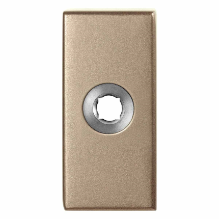 GPF1101.A4 R rozet rechthoekig 70x32x10 mm Champagne blend rechts draaiend