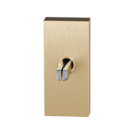 GPF1131.P4.0060 draaikiepmechanisme met stift binnenzijde 65mm