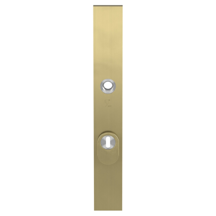 GPF9038.72P4 veiligheidsbuitenschild met kerntrekbeveiliging PC72 PVD mat messing