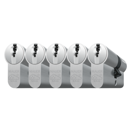 Mauer profielcilinder, DT1 serie, dubbele cilinder gelijksluitend per 5