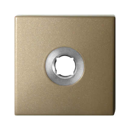 Rozet GPF1102.A4 50x50x8 mm Champagne blend