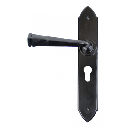 TH1119 deurkruk op schild 248x44mm PC47 smeedijzer zwart