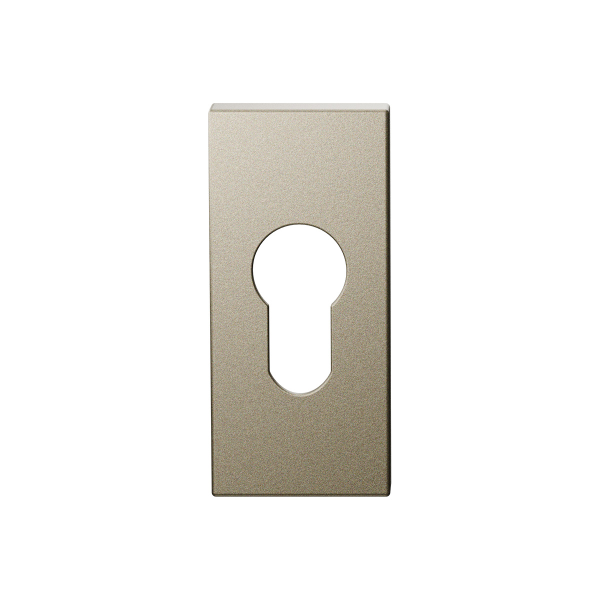 GPF1101.A4 cilinderrozet 70x32x10mm Champagne blend