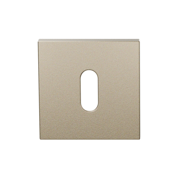 Sleutelrozet GPF199E 53x53x6,5 mm Champagne blend 