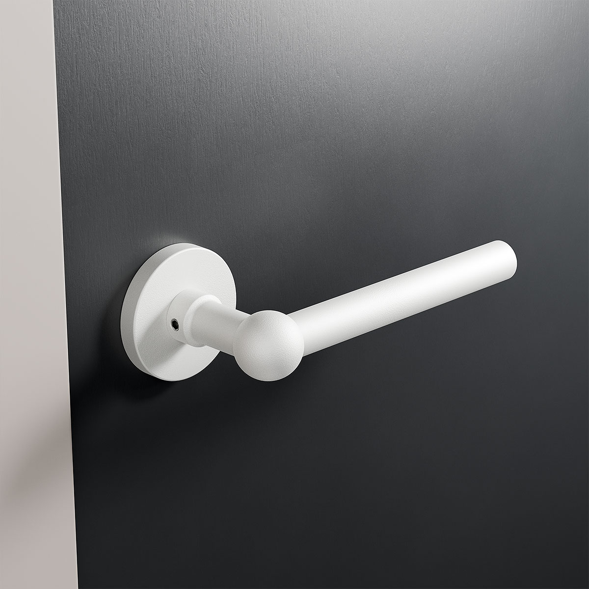 GPF8247 00 rozet sfeer donkere deur schuin.jpg