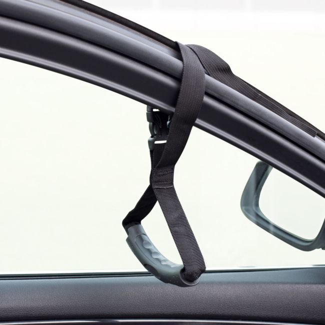 Sfeerimpressie Vitility auto uitstaphulp 2.jpg
